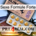 Sex Strong Formula 41